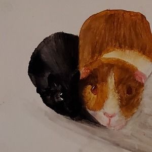 Meet your Posher, Elyse